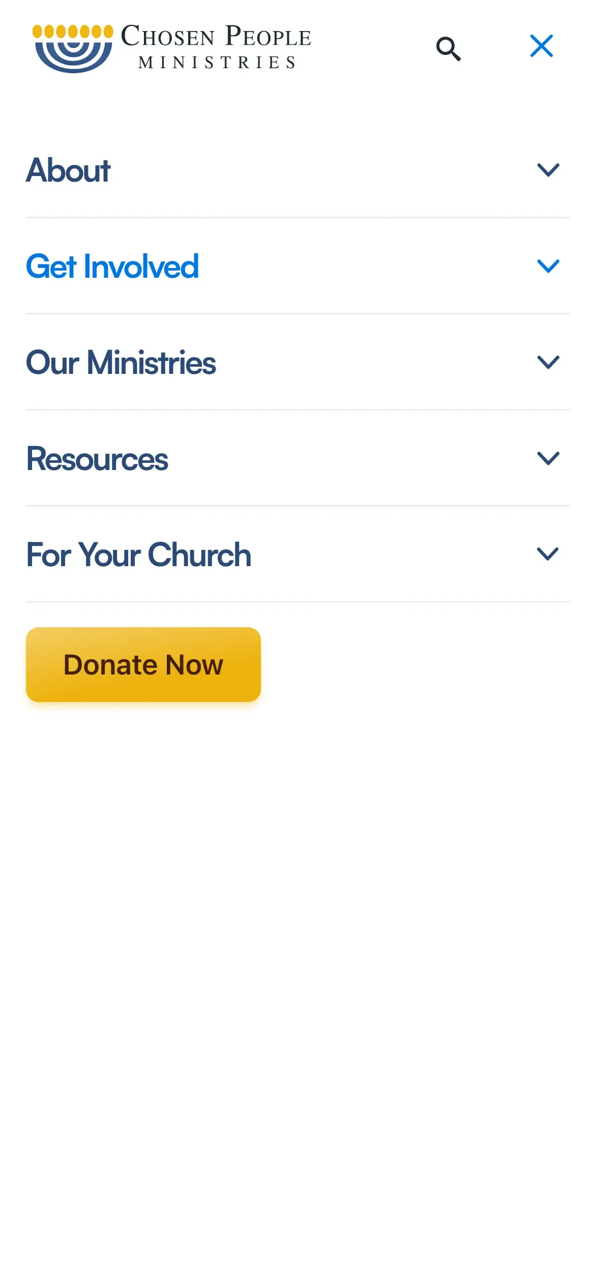 A screenshot of the mobile navigation